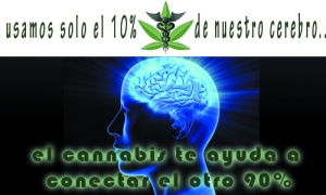 marihuana y el cerebro
